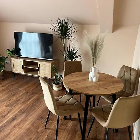 Boholook Apartment *